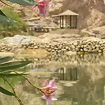 Wadi Bani Khalid - Al Joud Green Hostel